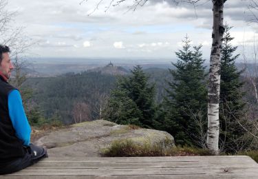 Tour Wandern Wangenburg-Engenthal - 2020-03-14 Marche Engenthal le bas - Photo