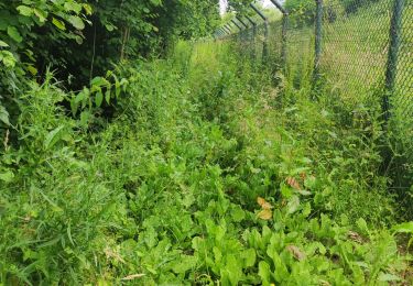 Trail Walking Saint-Soupplets - 110 ans de la bataille de la Marne - Photo