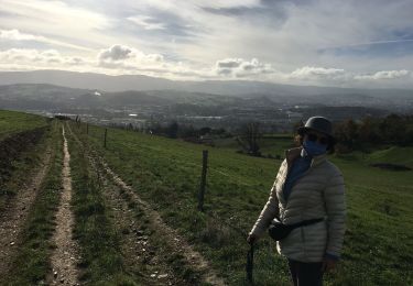 Randonnée Marche La Talaudière - Buissonnière  - Photo