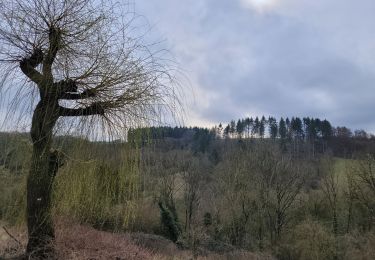 Randonnée Marche Onhaye - rando ornitho foy 28-02-2024 - Photo