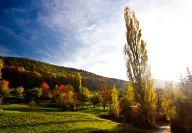 Excursión A pie Gomadingen - Weilheim Rundweg 32 - Photo