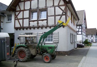 Percorso A piedi Simmerath - Einruhr - Sauermühle - Photo