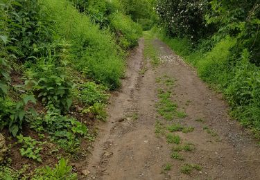 Tour Wandern Tokey - Tokaj - Photo