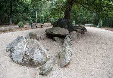 Tour Zu Fuß Heiden - Nordic Walking Rundweg Heiden Düwelsteene - Photo