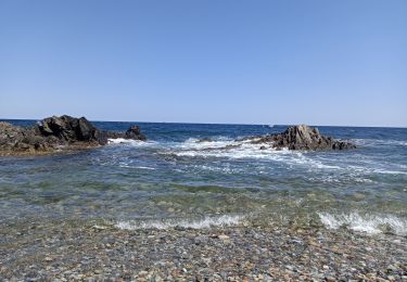 Tocht Stappen Argelès-sur-Mer - litorral - Photo