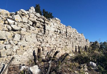 Excursión Senderismo Rougiers - PF-Rougiers - L'Oppidum du Piégu-Le Castrum St Jean - Photo