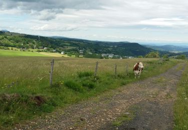 Trail Walking Picherande - Picherande - Besse St Anastaise  - Photo