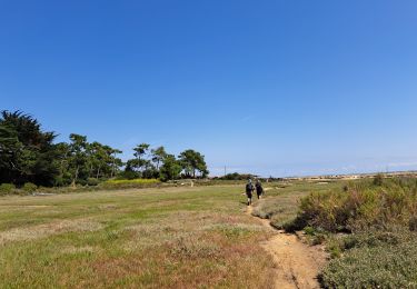 Trail Walking Lège-Cap-Ferret - boucle - Photo