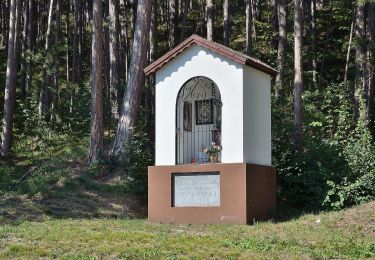 Tour Zu Fuß Gemeinde Ternitz - Sieding - Thann - Steinfelderhütte - Bürschhof - Photo