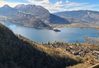 Percorso Marcia Talloires-Montmin - les Pingolies - Photo