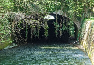 Percorso A piedi Glattfelden - Rheinsfelden - Glattfelden - Photo