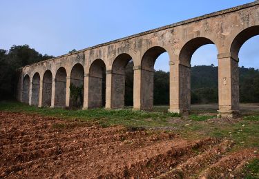 Trail Walking Vidauban - Vidauban - Château d'Astros - Chapelle St Lambert - Photo