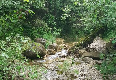 Tour Wandern Touët-de-l'Escarène - TOUET  - Photo