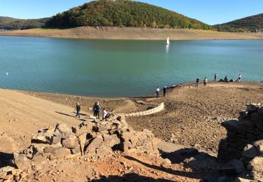 Percorso A piedi Waldeck - Kahle-Haardt-Route - Photo