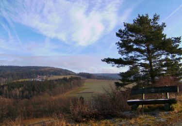 Tour Zu Fuß Goldkronach - Goldkronach Rundwanderweg Nr. 4 - Photo