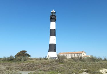 Excursión Senderismo Arles - 30 - phare de faraman - Photo