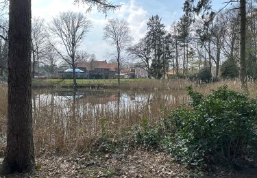 Randonnée Marche Woensdrecht - Volksabdij Kalmthout 14,8 km - Photo