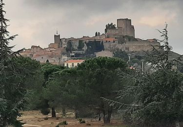 Tour Wandern Montalba-le-Château - montant a - Photo