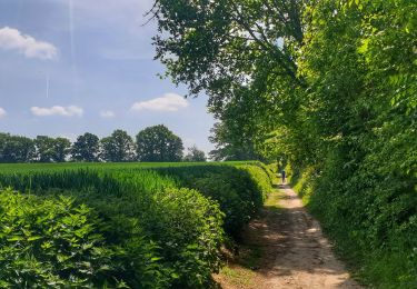 Trail Walking Villers-la-Ville - Balade à Sart-Dames-Avelines - Photo