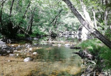 Tour Wandern Colombier-le-Vieux - Leygas StSorny Morens - Photo