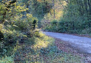 Trail Walking Noroy-le-Bourg - Noroy - le tacot- La Croix mercier -noroy - Photo