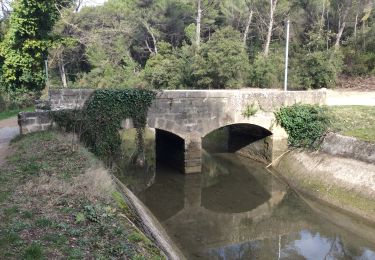 Excursión Senderismo Cheval-Blanc - PF-Cheval-Blanc - Canal de Carpentras - le Grand Défens - Photo