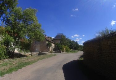 Tocht Mountainbike Meursault - activity_9584608261 - Photo