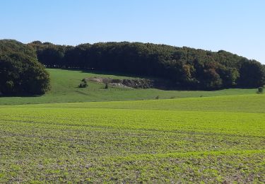 Excursión Senderismo Villers-Outréaux - Villers Outreaux De Marliche au moulin de Brunet - Photo