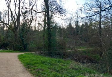 Tocht Stappen Poitiers - SityTrail - Grottes de la Noree - Photo