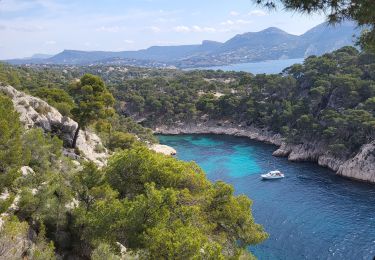 Trail Walking Cassis - Les calanques Port Miou  280 + - Photo