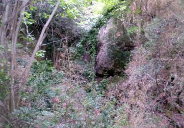 Trail Walking Davejean - DAVEJEAN - Les petits chemins de Davejean - Photo
