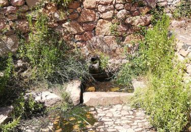 Trail Walking Piana - cappu Rossu  - Photo