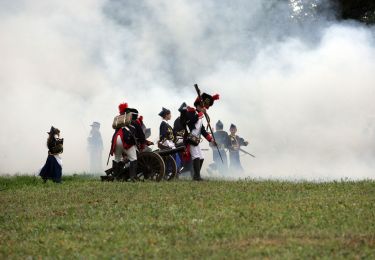 Randonnée A pied Fosses-la-Ville - Sur les pas de saint Feuillen - Photo