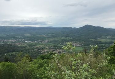 Trail Walking Neubois - Frankenbourg. Rocher dû coucou  - Photo