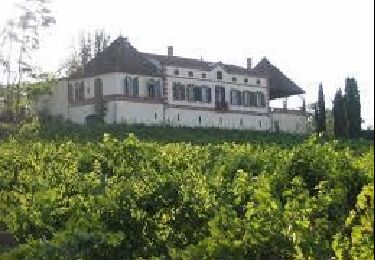 Trail Nordic walking Florentin - Sentier des colombes Florentin - Photo
