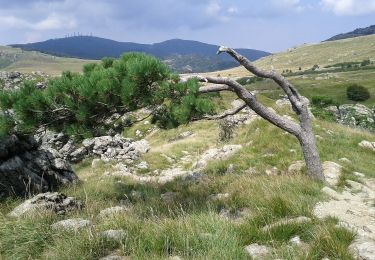 Randonnée A pied Sassello - Anello Sentiero Natura Torbiera del Laione - Photo