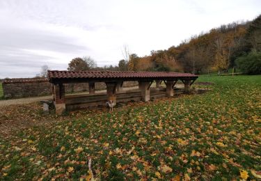 Excursión Ruta Tossiat - lavoir tossiat / journans / senissiat/ X de rignat /lavoir  - Photo