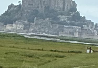 Trail Walking Le Mont-Saint-Michel - Mont saint Michel - Photo