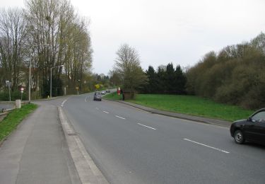 Randonnée A pied Lügde - Lügder Weg - Photo