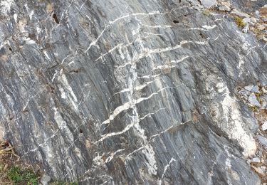 Trail Walking Grust - Viscos : circulaire  - Photo