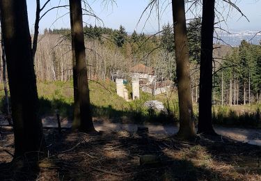 Excursión Senderismo Pollionnay - Col de la Luère  - Photo