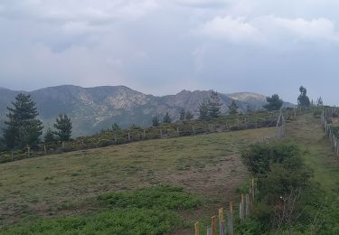 Tour Wandern Ventalon en Cévennes - Sentier de l'Avès - Photo