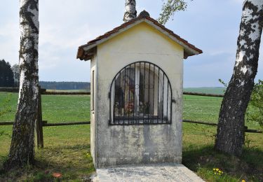 Tocht Te voet Beilngries - Beilngries-Altmannstein-Wanderweg - Photo