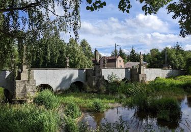 Randonnée A pied Poběžovice - [Ž] Bělá nad Radbuzou - Poběžovice - Photo