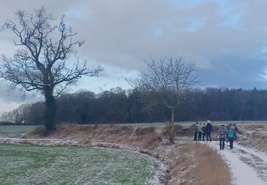 Tocht Stappen Walcourt - 2024.01.15. Thy le Château  - Photo