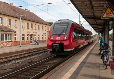 Tour Zu Fuß Calau - Wanderweg von Altnau zu den westlichen Reptener Teichen - Photo