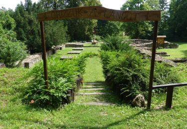 Percorso A piedi Sconosciuto - ZC (Tündér szikla) - Photo