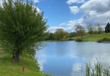 Tour Wandern Villers-la-Ville - VLV - promenade de Rigenée (départ parking du Golf) - Photo