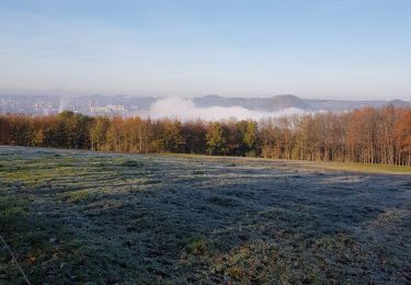 Tocht Stappen Blegny - repérage 30km - Photo