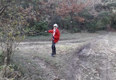 Tocht Stappen Montjoyer - mont 27 11 - Photo